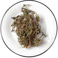 鹅不食草 干.png