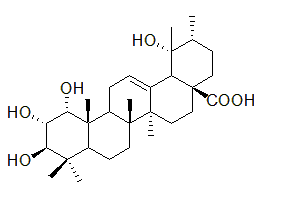 1α，2α，19α-三羟基乌苏酸